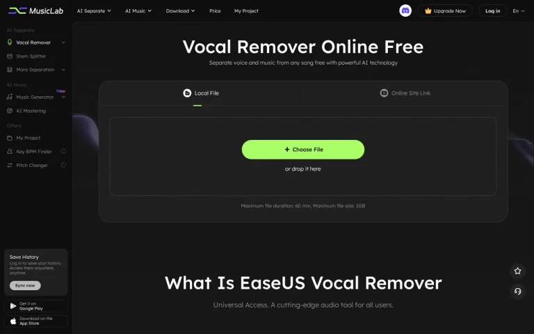 EaseUS Vocal Remover homepage screenshot showing the official landing page