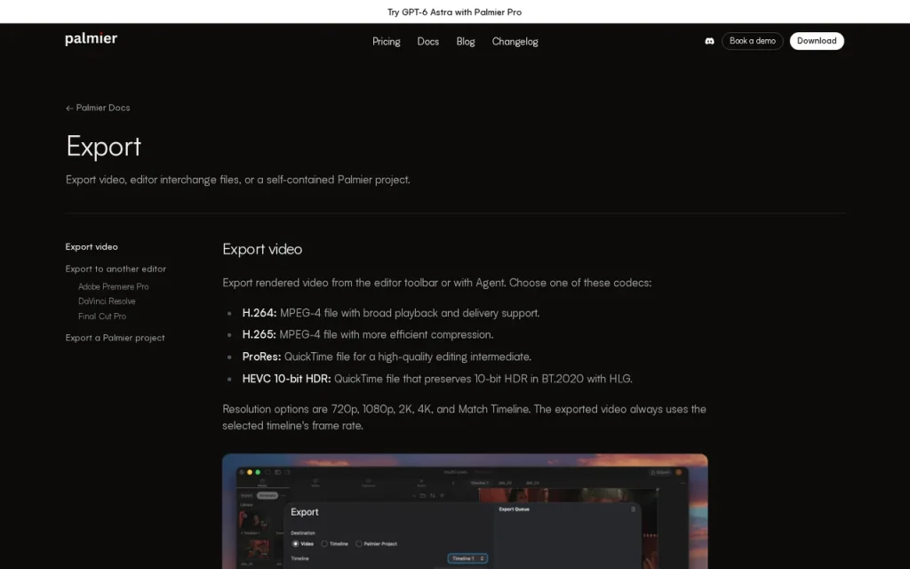 Palmier Pro features page screenshot showing the product interface