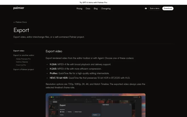 Palmier Pro features page screenshot showing the product interface